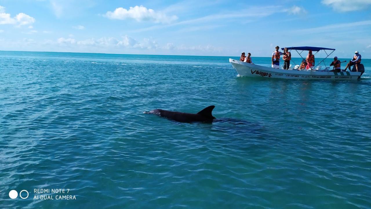 Las Palapas de Punta Allen Exterior foto